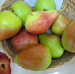 Hrušeň Avranšská