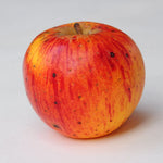 Jabloň Parména zlatá zimní