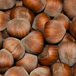 Lieska Corabel detail plody