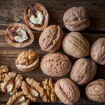 orech kráľovský fernor orech plody