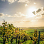 zmes tráv pre sady a vinice 10kg OMKVZMESTR10