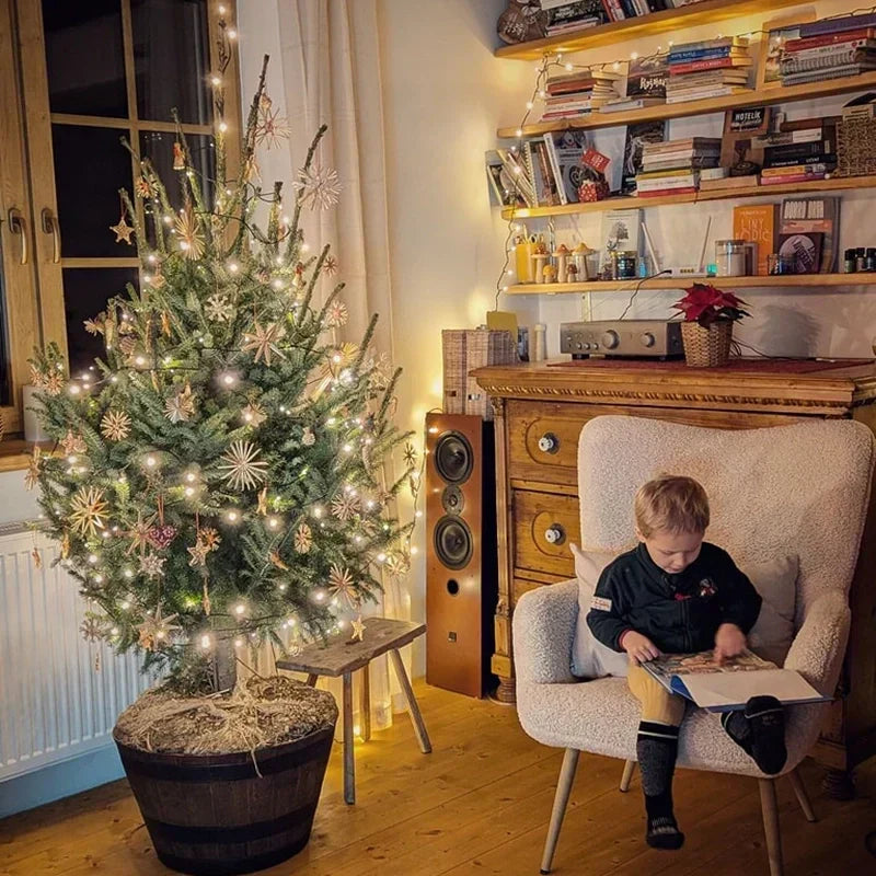Vianočný stromček ako darček: Aké dary prinášajú rôzne druhy