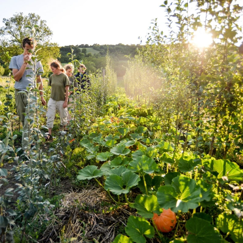 Práce v domácej škôlke v máji