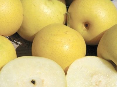 Hruška Nijisseiki, ktorá si získala Japonsko