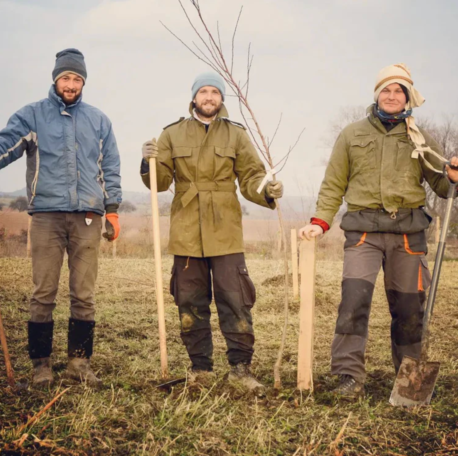 Připraveno k výsadbě