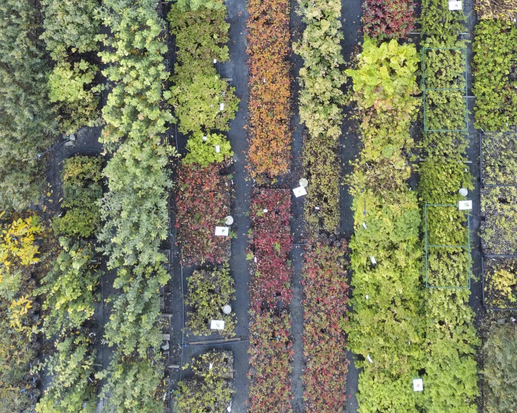 Prezentácia našej škôlky