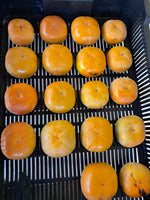 Hurmi kaki Jiro, foto: Mirka Mirinda