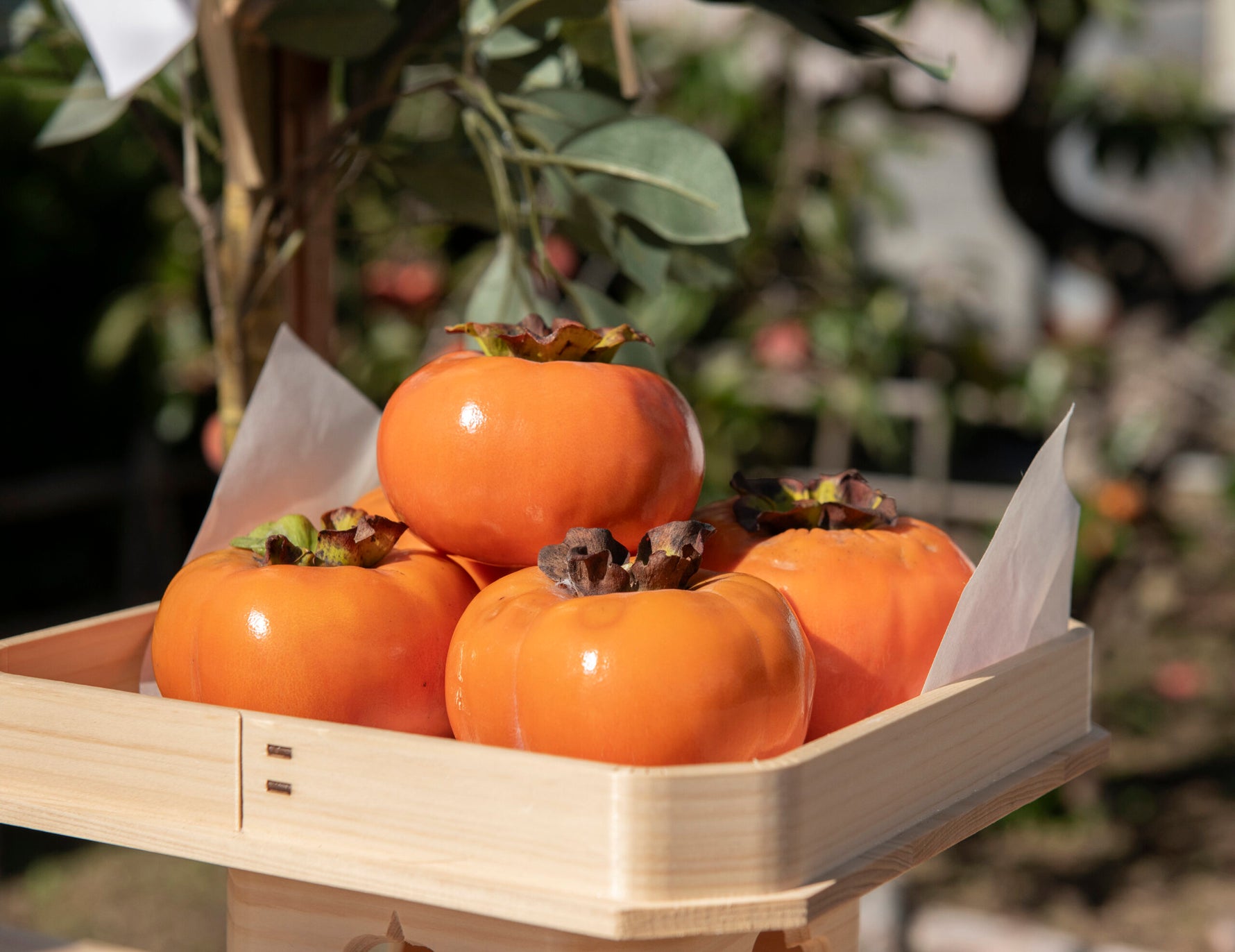 Hurmi kaki Jiro, foto: https://shizuoka-gastronomy.jp/en/report/1768/