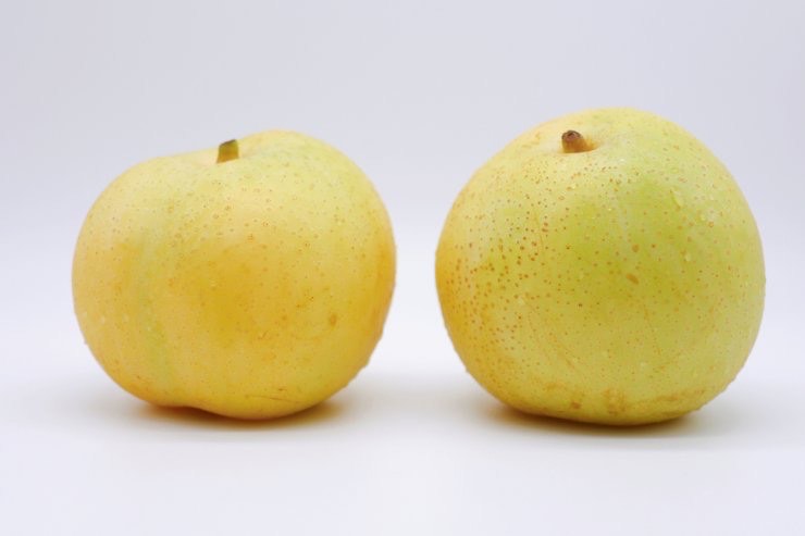 Ázijská hruška Nijisseiki detail plody