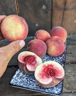 broskyna prunus persica Benedicte obraté plody