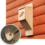 Búdka pre štrbinové druhy netopierov. Prírodné drevo. 

OPBDBUDNET