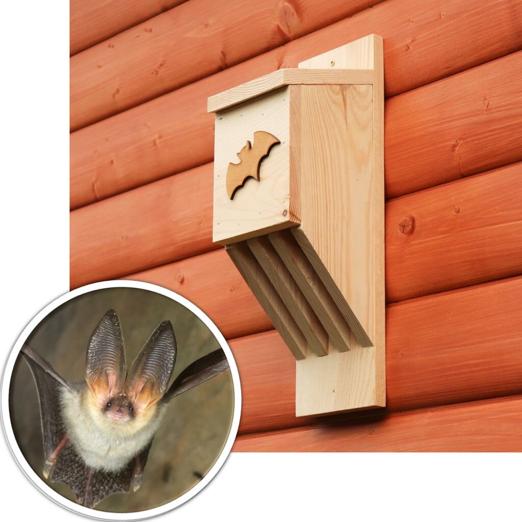 Búdka pre štrbinové druhy netopierov. Prírodné drevo. 

OPBDBUDNET