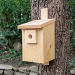 Drevená búdka pre sýkorky a vrabce – prírodné prevedenie bez náteru.
OPBDBUDSYK