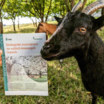 Ekologické ovocinářství na vyšších kmenných tvarech publikácia Bioinstitut 		
OOPEO