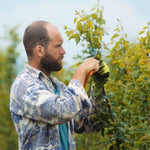 gumičky na štepenie. Praktický pomocník pri štepení, rozložiteľný materiál. ONGS