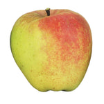 Jabloň Hontianska končiarka plod 