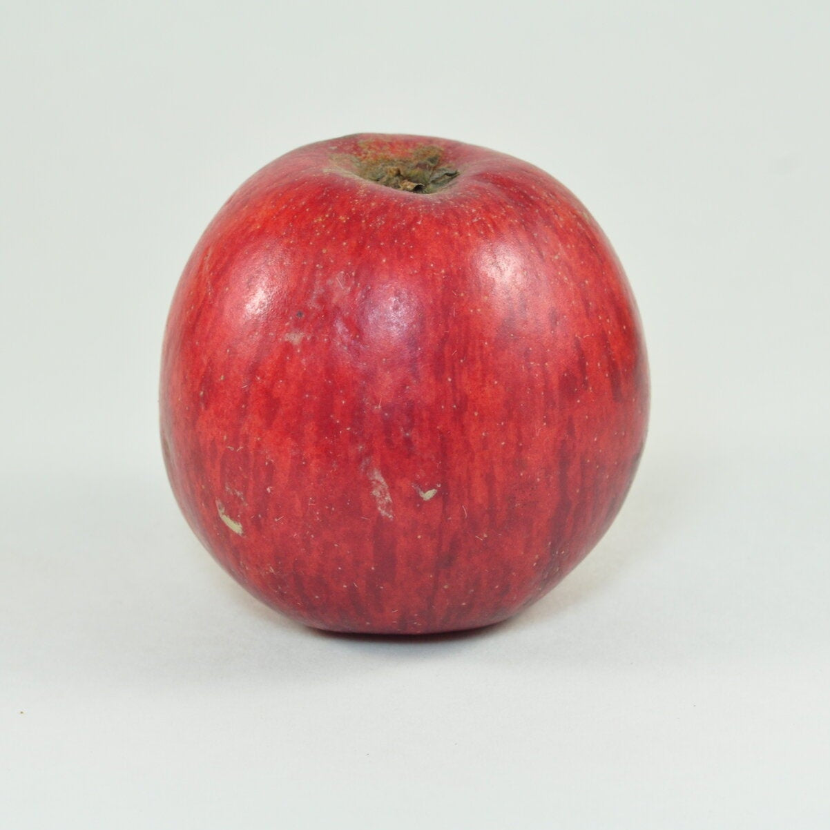 jabloň Solivarské ušľachtilé plody 