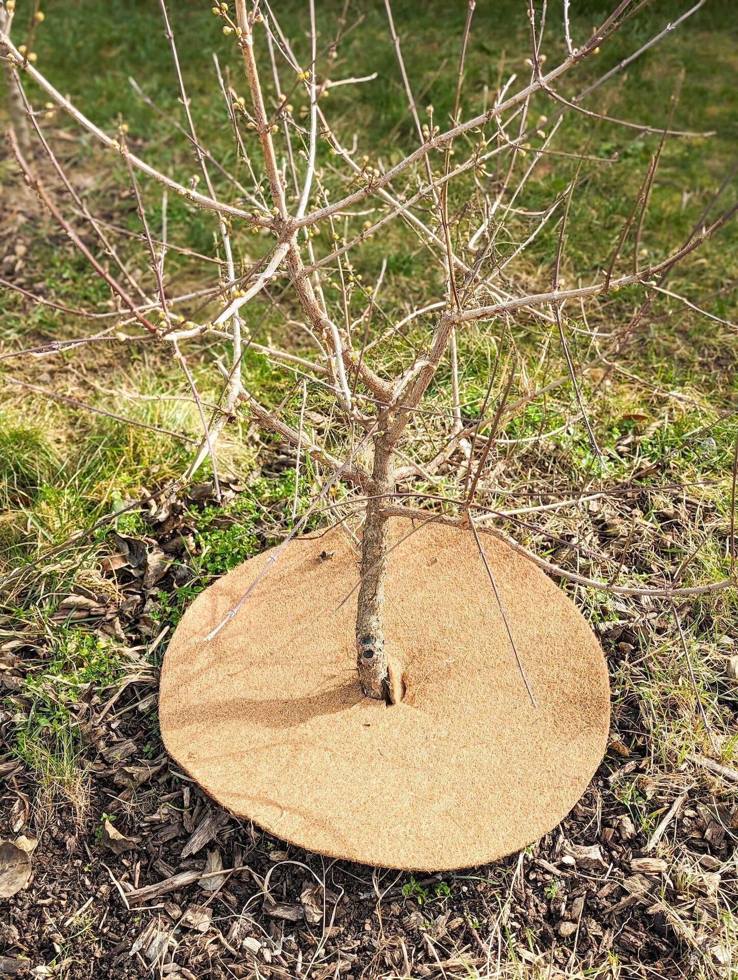 kokosový koláč kruh, rozložiteľný, ochrana pred burinou 