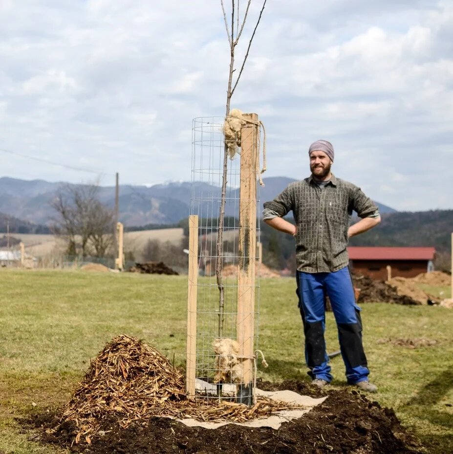 Motyka ručně kovaná špičatá, úzká