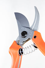 nožnice na strihanie rezanie löwe 14 
 ONNL14