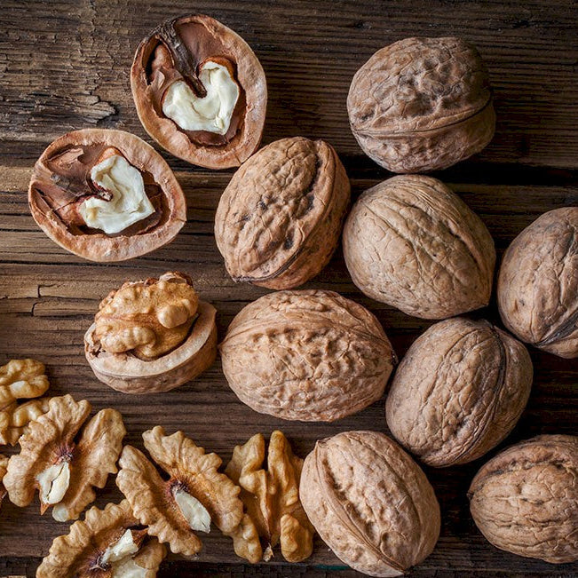 orech kráľovský fernor orech plody 