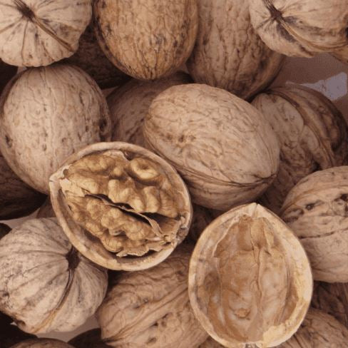 Orech kráľovský Jupiter plody orechy 