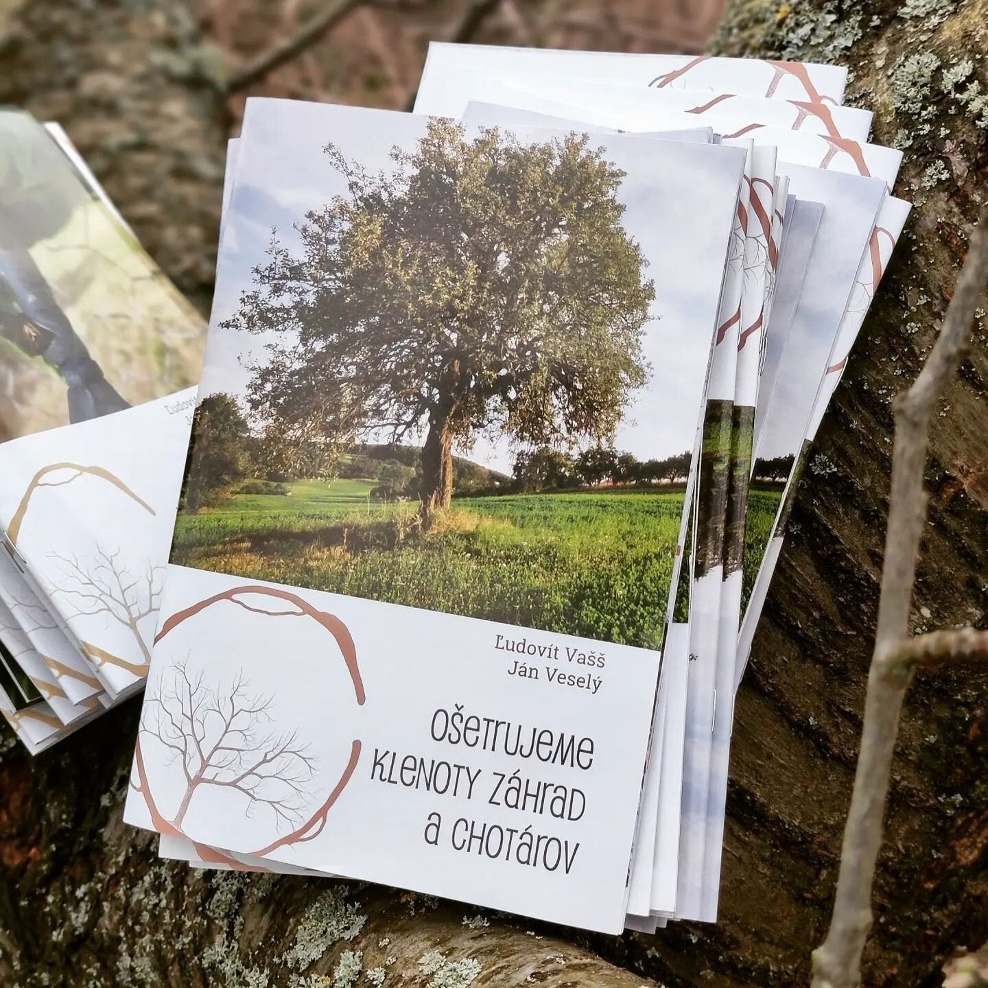 Ošetrujeme klenoty záhrad a chotárov 	
OOPO