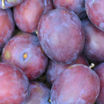 slivka Cárska plody detail