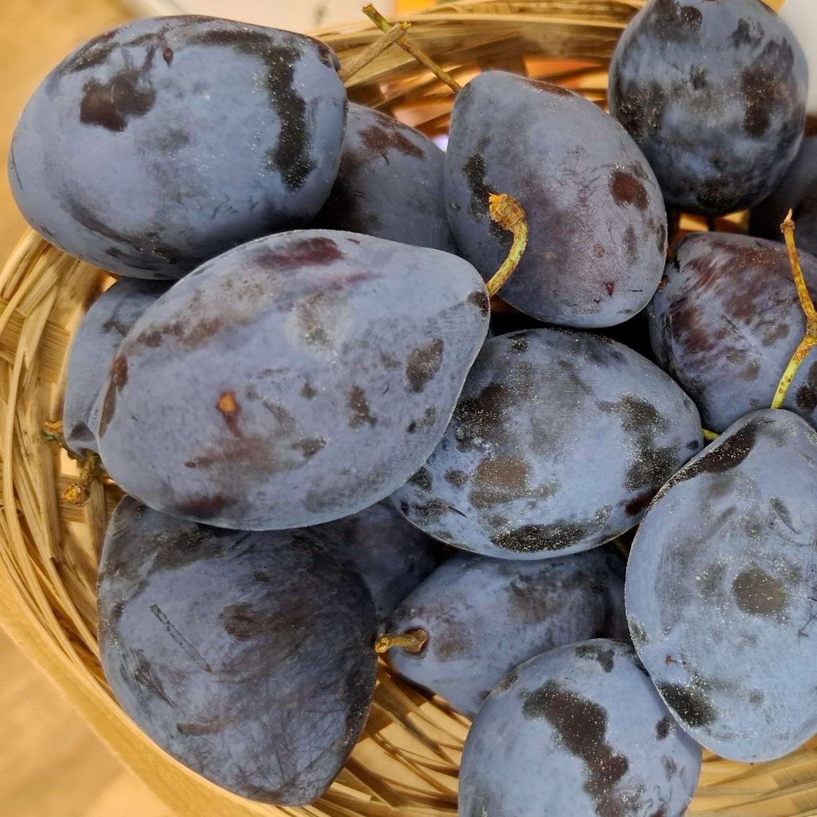 slivka Valjevka zrelé plody