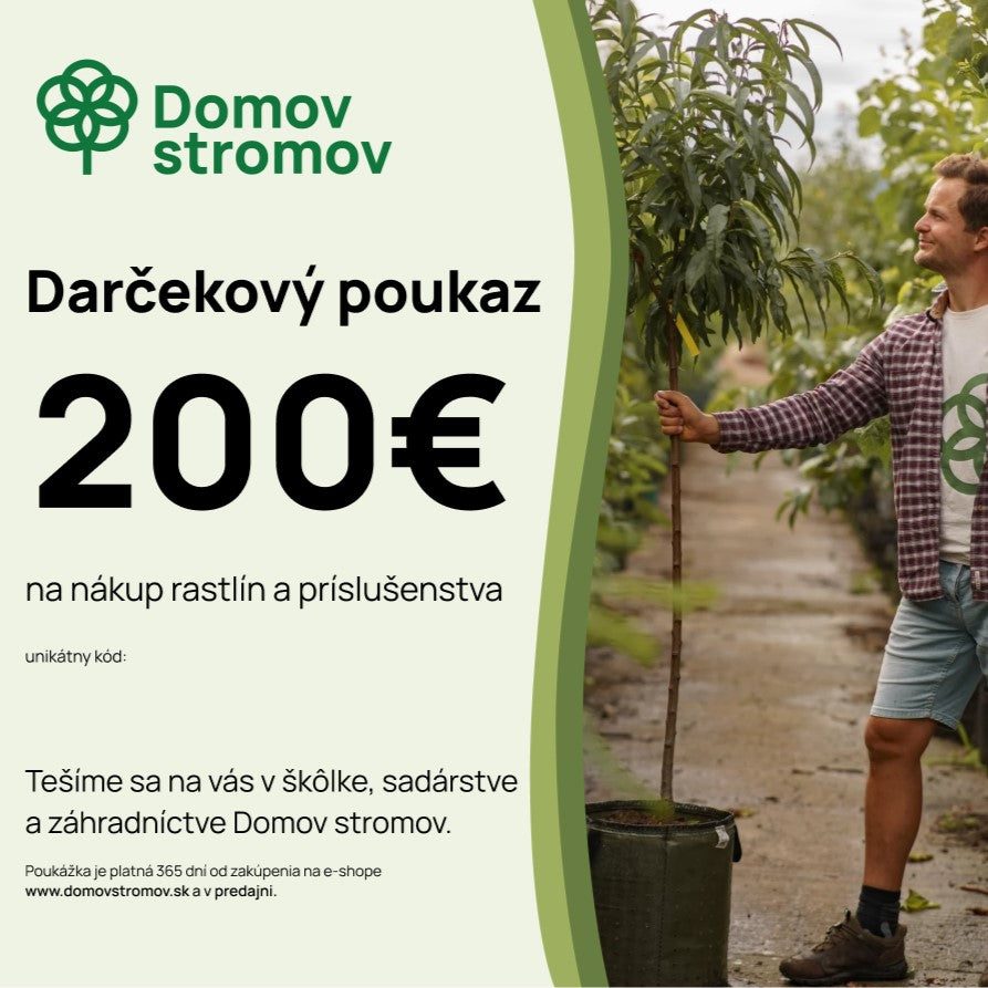 Dárkový poukaz 200€