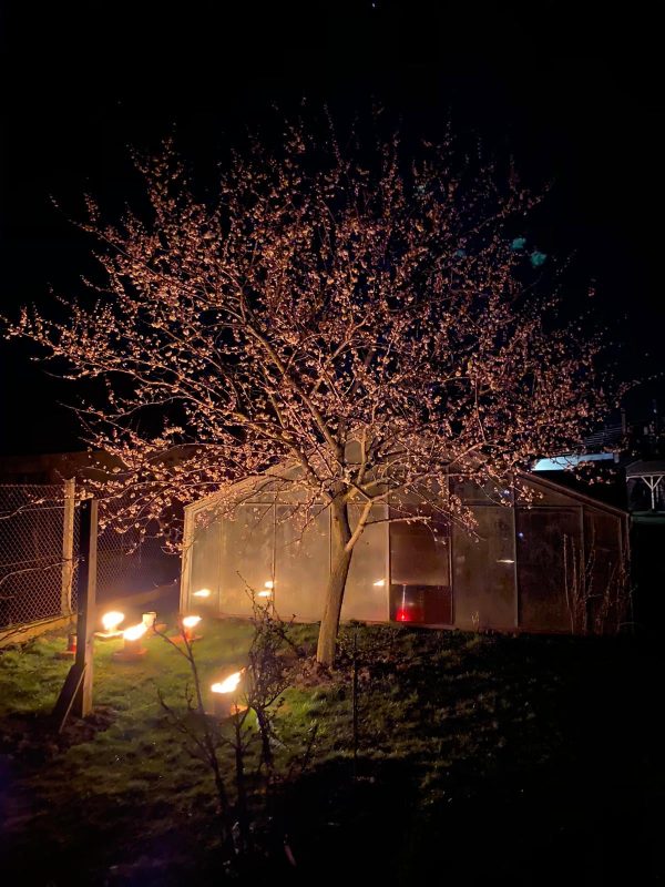 Sviečka proti mrazu 2kg