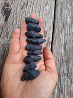 Zemolez kamčatský Boreal Blizzard lonicera kamtschatica veľké plody v dlani  	
OKZKBORBLIK