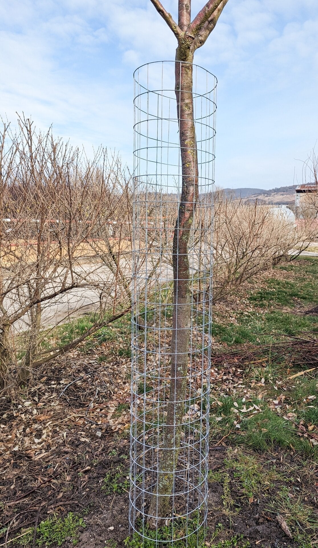 zvarana sieť pre ochranu stromov výška 150cm 	
OMKVZS150